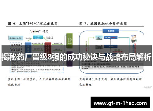 揭秘药厂晋级8强的成功秘诀与战略布局解析