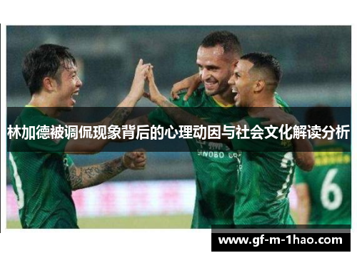 林加德被调侃现象背后的心理动因与社会文化解读分析 林加德被调侃现象背后的心理动因与社会文化解读分析