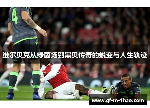 维尔贝克从绿茵场到黑贝传奇的蜕变与人生轨迹