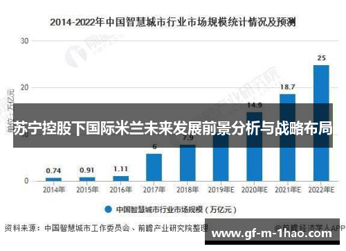 苏宁控股下国际米兰未来发展前景分析与战略布局