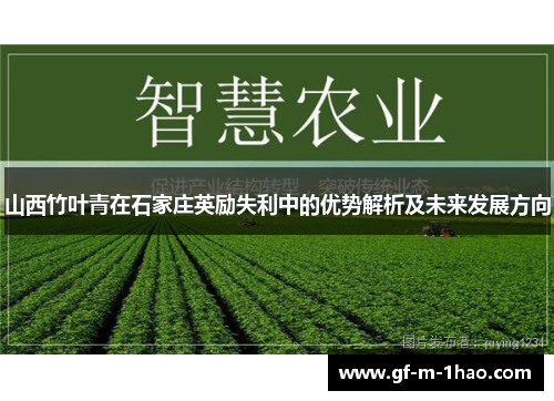 山西竹叶青在石家庄英励失利中的优势解析及未来发展方向