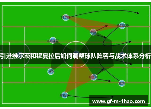 引进维尔茨和穆夏拉后如何调整球队阵容与战术体系分析