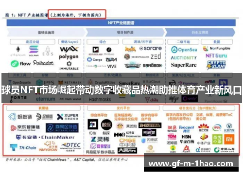 球员NFT市场崛起带动数字收藏品热潮助推体育产业新风口 球员NFT市场崛起带动数字收藏品热潮助推体育产业新风口