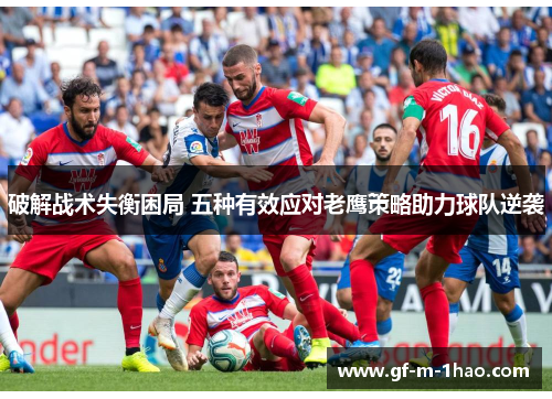 破解战术失衡困局 五种有效应对老鹰策略助力球队逆袭
