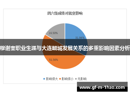 穆谢奎职业生涯与大连鲲城发展关系的多重影响因素分析