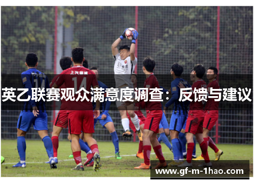英乙联赛观众满意度调查：反馈与建议