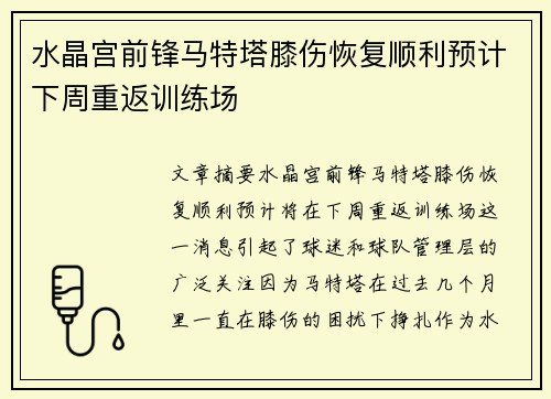 水晶宫前锋马特塔膝伤恢复顺利预计下周重返训练场
